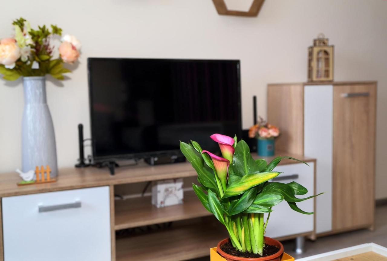 Apartment Colibri ヴェリコ・タルノヴォ エクステリア 写真